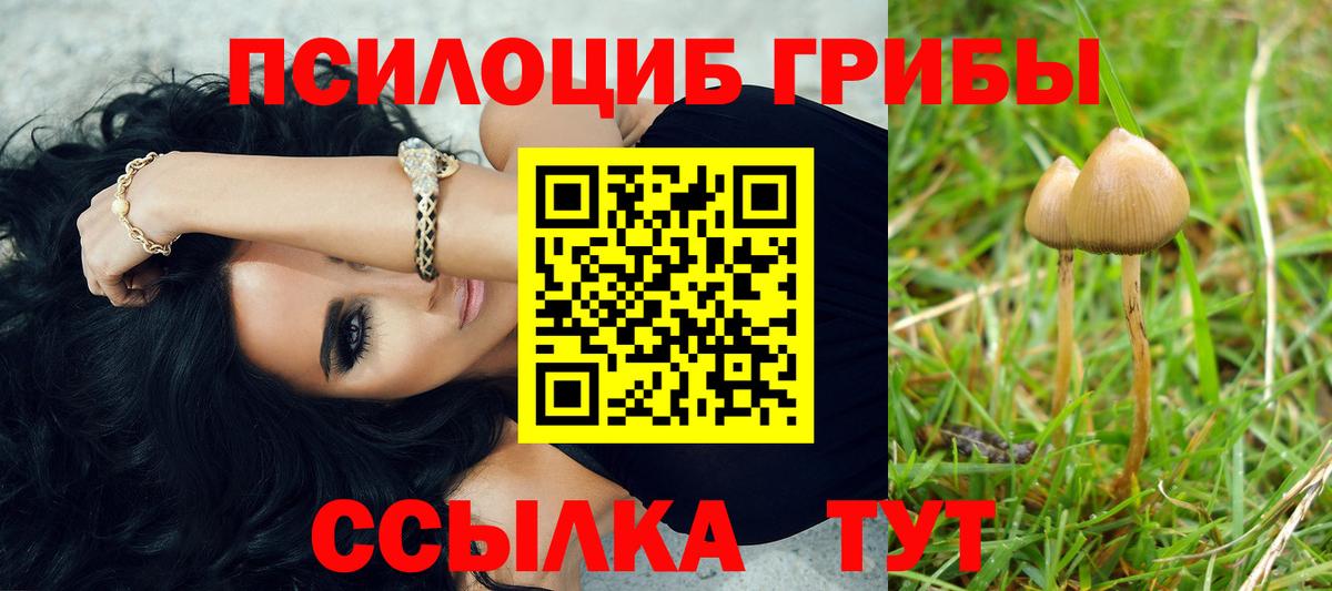 Бийск  Псилоцибиновые грибы мухоморы  Вход с VPN 
