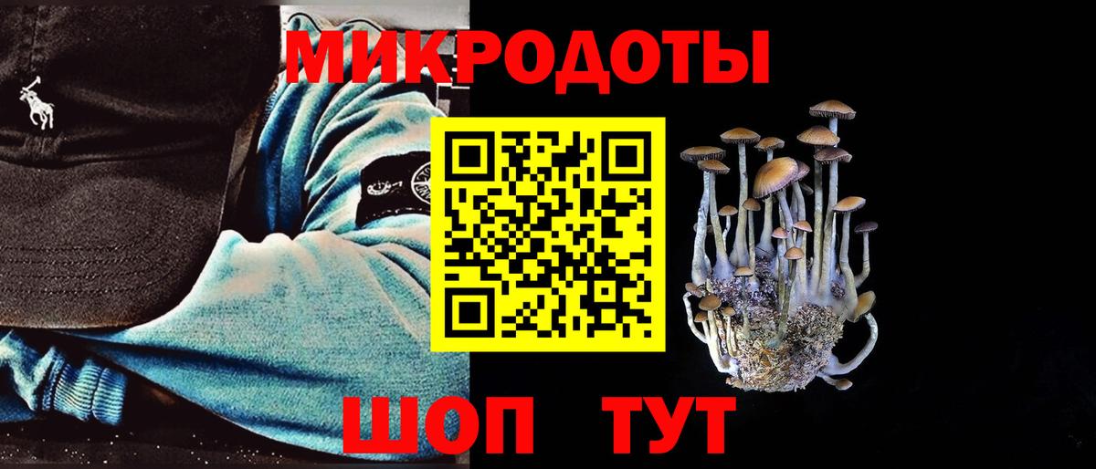 Галлюциногенные грибы мицелий Бийск